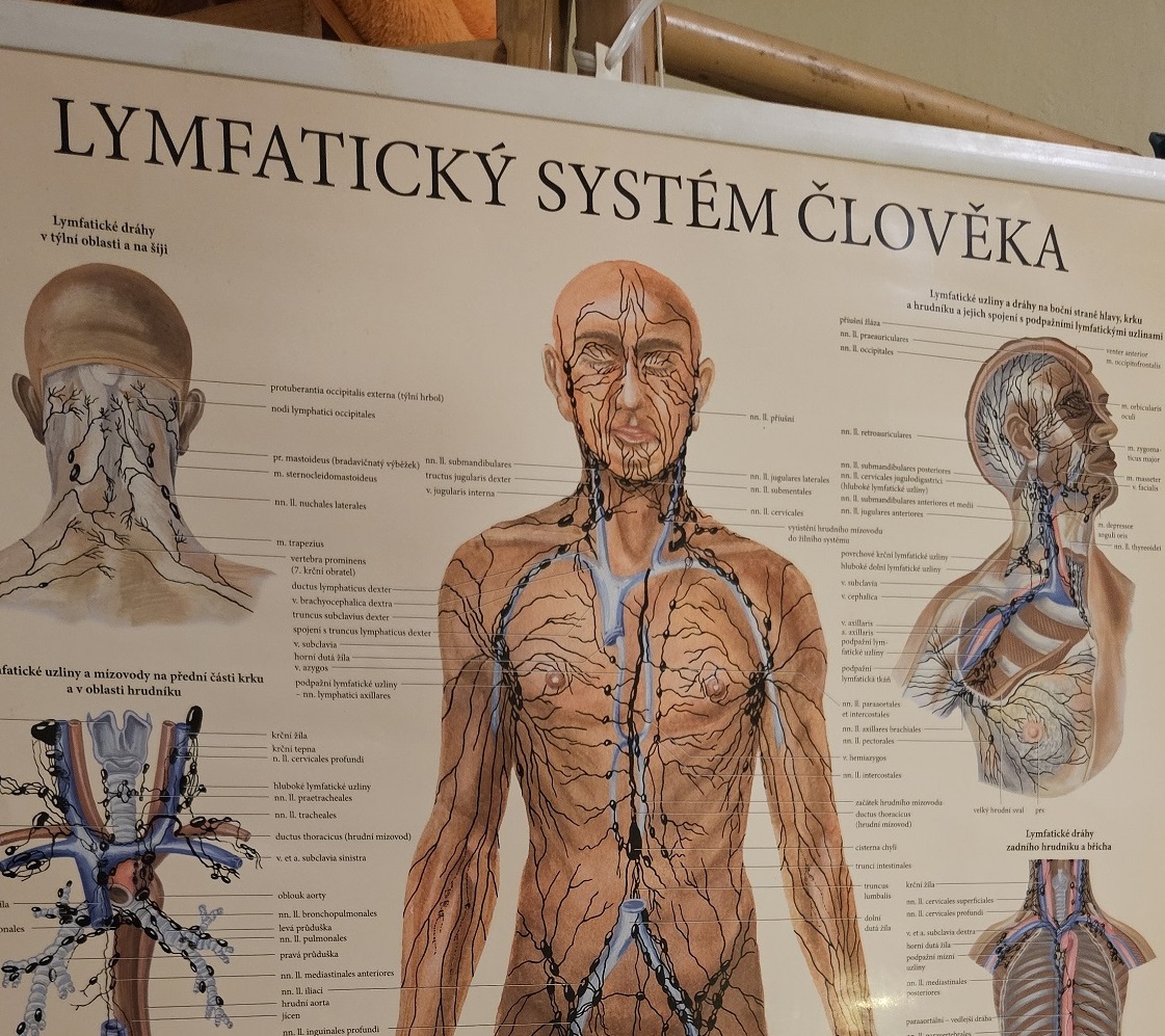 Diagnostika celkového stavu - Masážny salón HARMONY Podbrezová